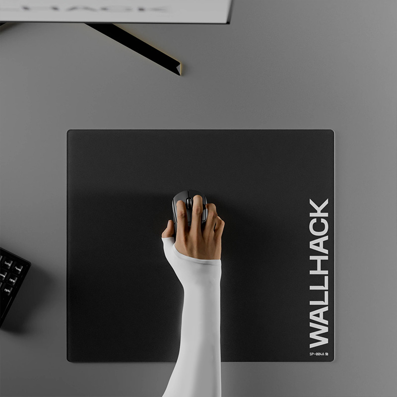 W-Wallhack SP004 SP005 Glass G - Tech Desktop Accessories 评论和价格